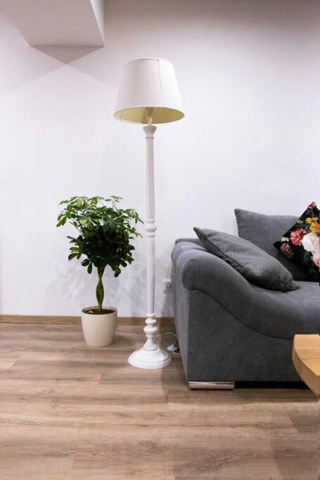 Ferienwohnung Le Logis D'Alsace, Wifi,Tv,Parking,70 M2 Ettendorf Exterior foto
